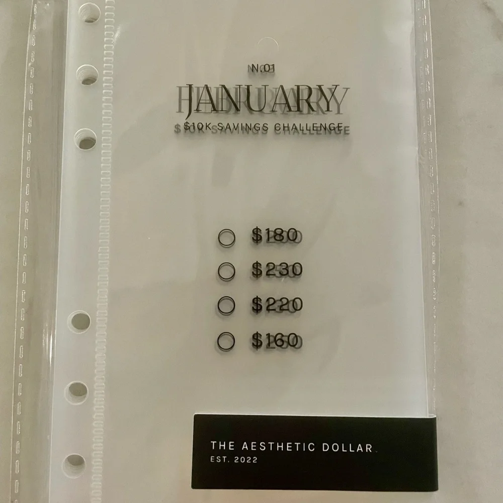 NEW $10K Monthly Savings Challenge - Picture 3 of 3